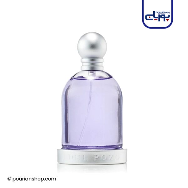 عطر ادکلن هالووین بنفش زنانه