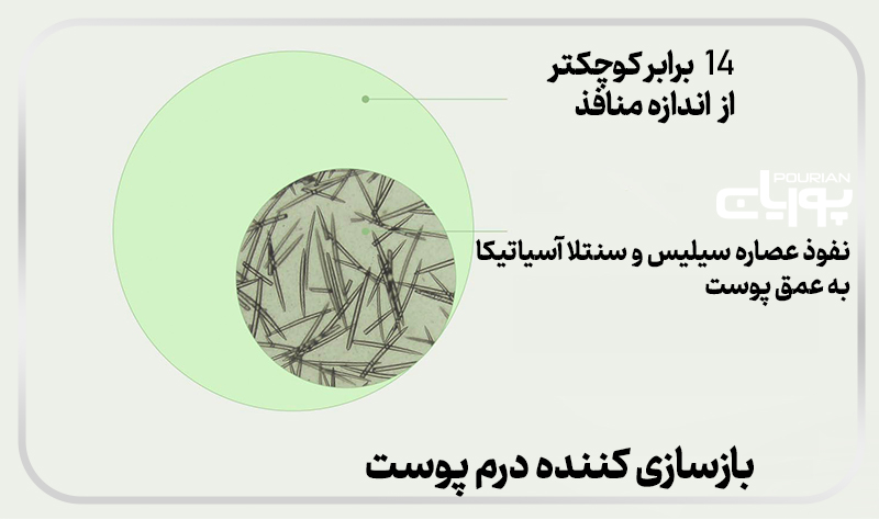 سرم میکرونیدلینگ ریدل شات
