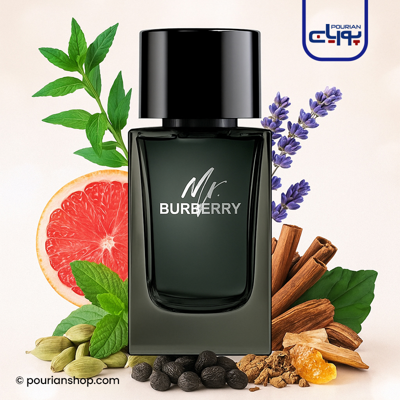 عطر ادکلن باربری مستر باربری ادو پرفیوم 