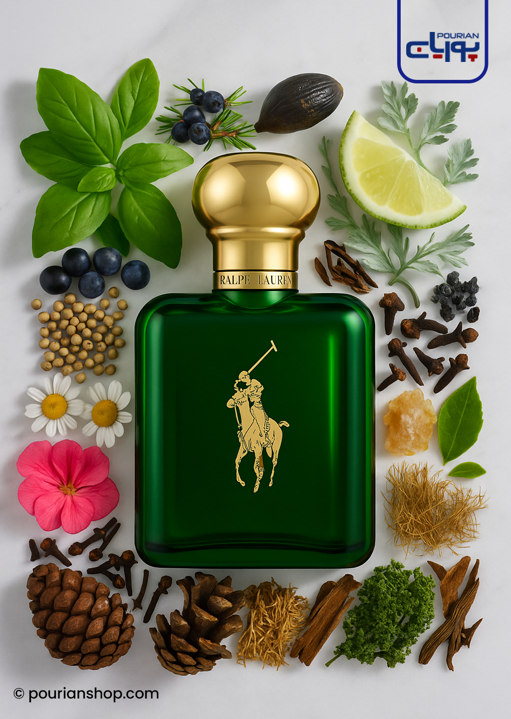 عطر ادکلن رالف لورن پولو سبز